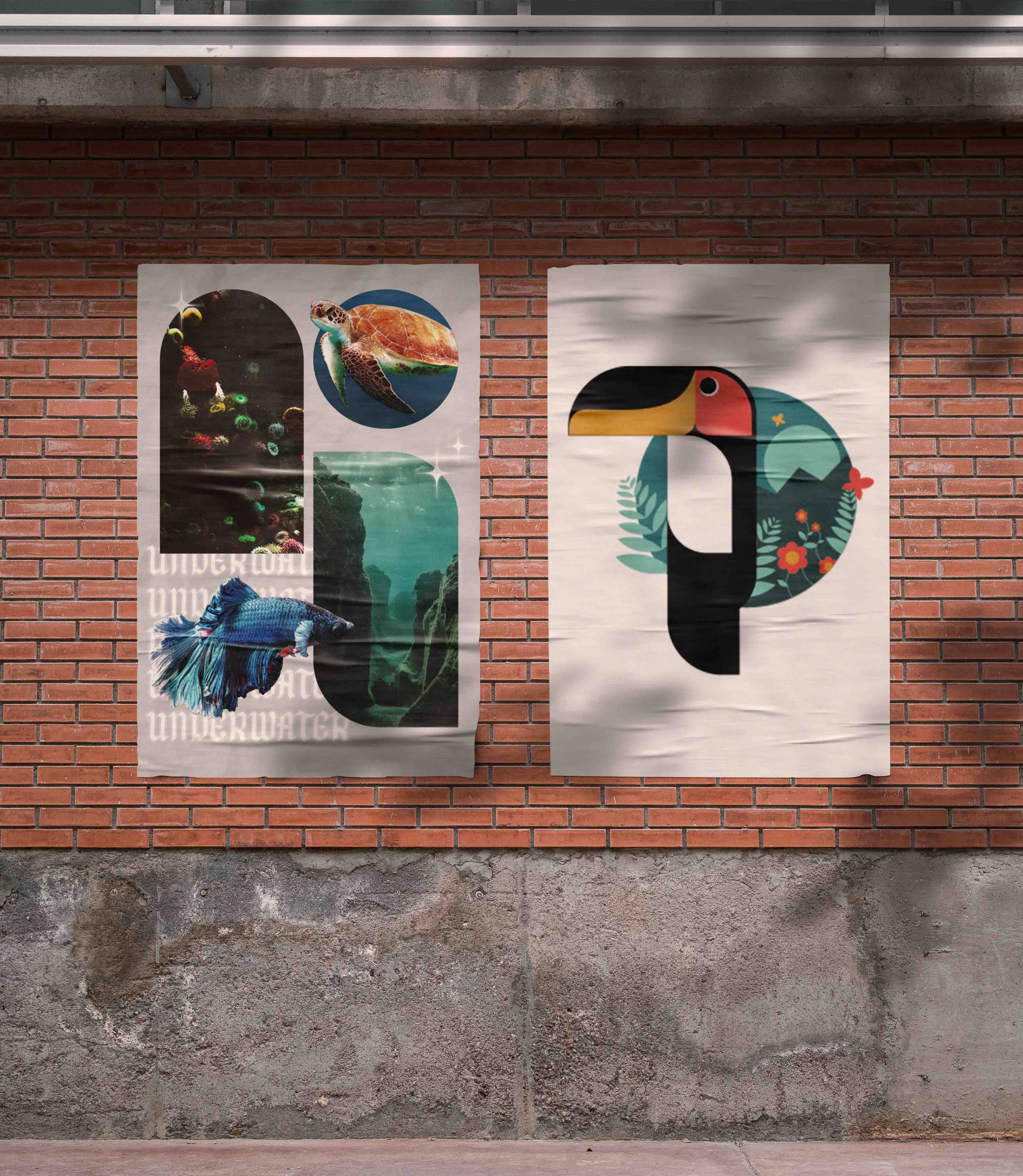 designs