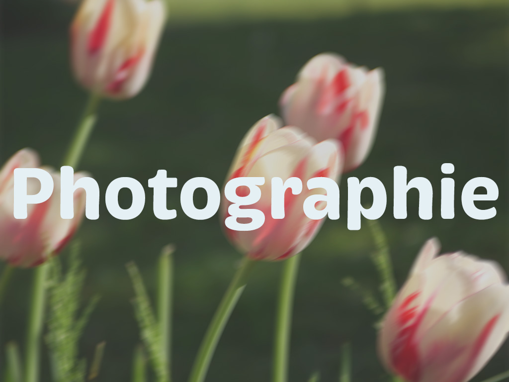photographie